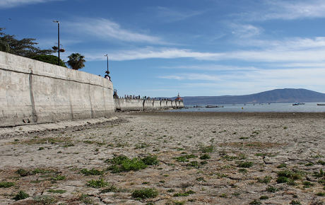 Forman en Guanajuato comité técnico que va contra el lago de Chapala