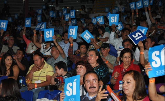 ASAMBLEA PANISTA ELIGIÓ 19 CONSEJEROS GRUPOS DE ROSALES, DEL COMITÉ ESTATAL, DEL SENADOR…TODOS METIERON MANO