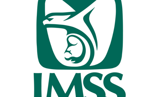 PERIODISMO POSTMODERNO: Las patologías del IMSS