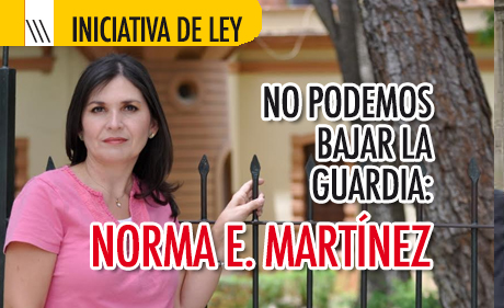 PREOCUPA QUE “LEY DE PROTECCIÓN DE LOS DERECHOS DE LOS NIÑOS” REGRESE A SENADO