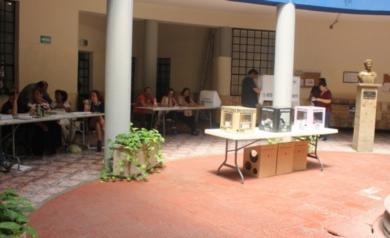 DENUNCIA PMC DETENCIÓN DE DECENAS DE “GUARDIANES ELECTORALES”