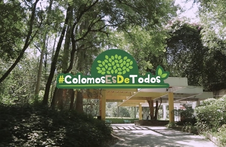 En la lucha por los colomos, primer round para el gobierno estatal
