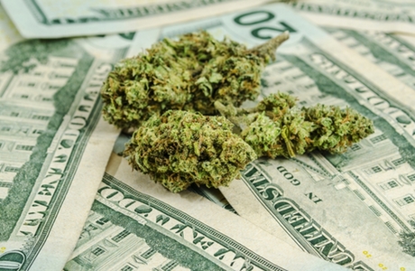 Prohibición de mariguana fortalece a los cárteles