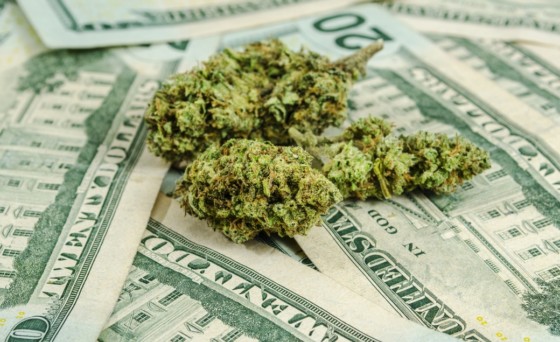 LA MARIHUANA REBOTARÁ EN EL MURO Y SE QUEDARÁ EN MÉXICO