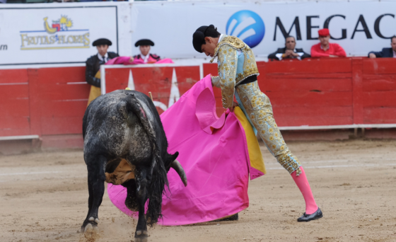 HABLEMOS DE TOROS | Diego Bricio, el mejor banderillero
