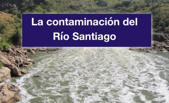 Denuncian que la contaminación con metales pesados está matando gente