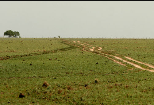 TERCERA INSTANCIA: ¡Deben solucionar conflictos de tierra!
