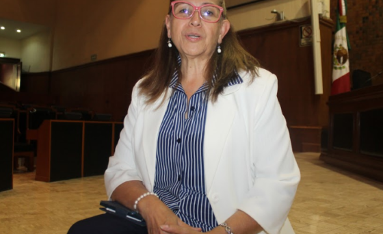 Entrevista a la diputada Pilar Pérez Chavira: “Es el Pleno el que juzgará al magistrado Alberto Barba”