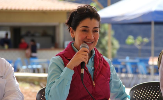 Magdalena Ruiz Mejía y la agenda verde de Jalisco: Aire contaminado genera más muertes que accidentes viales