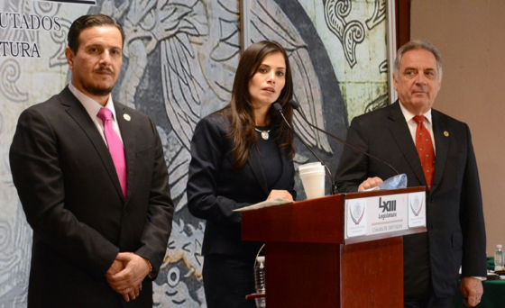 Diputada Verónica Delgadillo, promueve en San Lázaro #ExpresidentesSinPensión; entregan 50 mil firmas