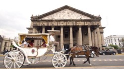 Las calandrias con caballos son tradición que debe conservarse: Historiador Guillermo Gómez Sustaita