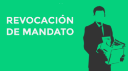 Agenda Política: Ratificación de mentiras