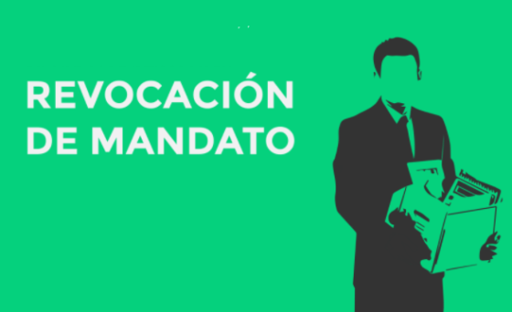 Agenda Política: Ratificación de mentiras