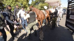 Tercera Instancia: Qué buen tino tiene Alfaro