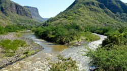Respuestas: Réquiem por un río