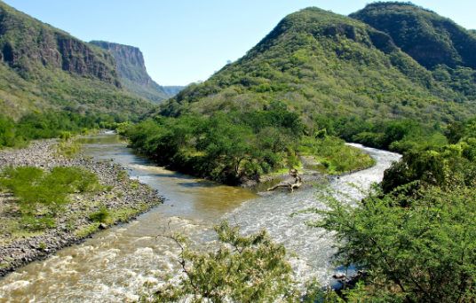 Respuestas: Réquiem por un río