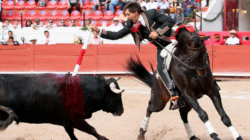 Mundo Taurino: Regresa Pablo Hermoso de Mendoza a la “Nuevo Progreso” de Guadalajara