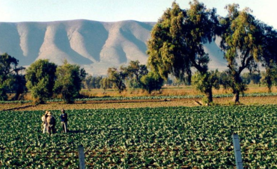 Metástasis: El campo corre riesgos con el populismo
