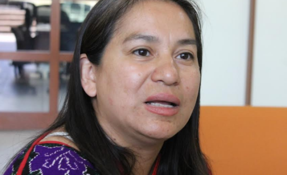 Investigadora Dolores China Salazar y su visión: Modelo económico causa crisis de seguridad