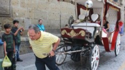 Revive lucha por la sobrevivencia de las calandrias con caballos: Sentencia alcalde tapatío que desaparecerán