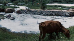 CINE: Resurrección, historia del ecocidio del Río Santiago