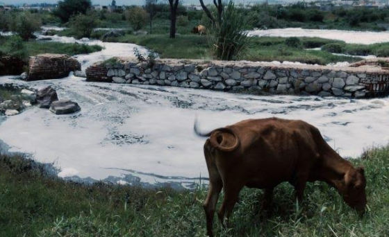 CINE: Resurrección, historia del ecocidio del Río Santiago
